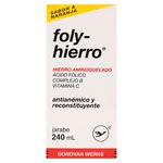 Foly-Hierro-Jarabe-240-Ml-1-13460