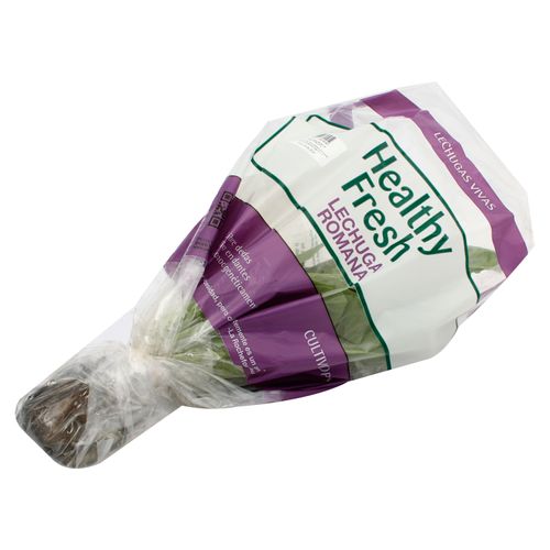 Lechuga Romana Hidroponica Unidad