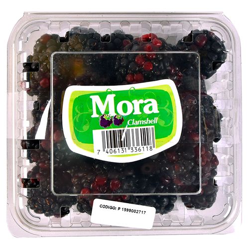 Mora Clamshell - 170gr