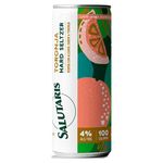 Hard-Seltzer-Salutaris-Toronja-355ml-1-54349