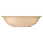 Taz-n-Best-Melamine-Grande-Beige-9-Pulg-Melamina-1-54538