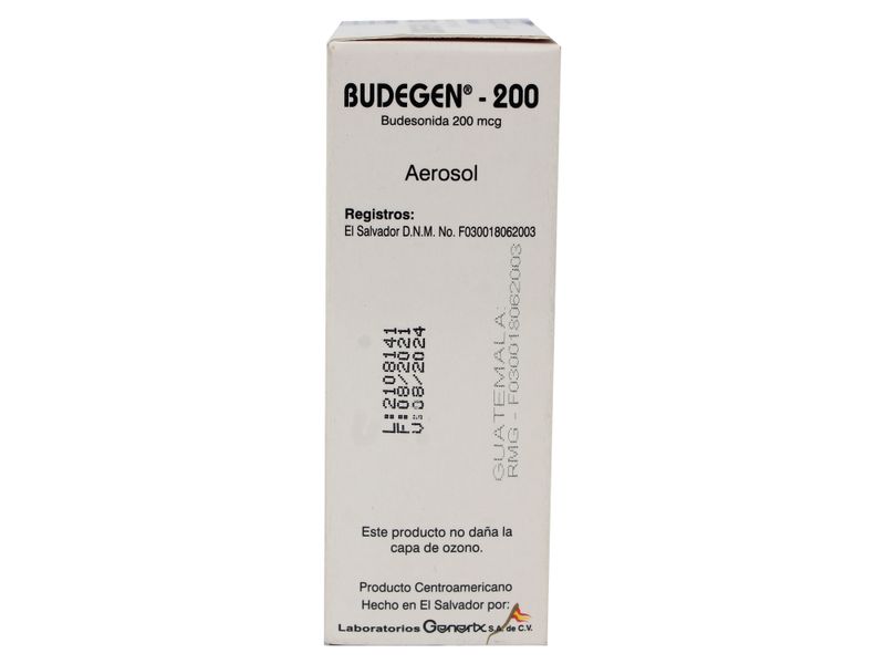 Budegen-Generix-200-Mcg-200-Dosis-Inhal-6-53937