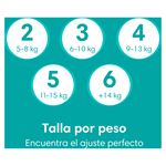 Pa-ales-Pampers-Baby-Dry-S5-112-Unidades-2-5130