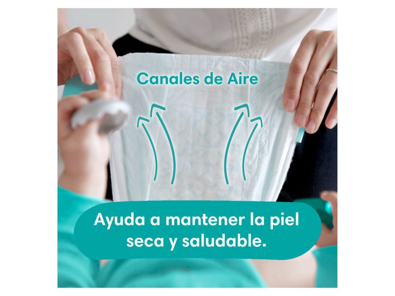 Pa-ales-Pampers-Baby-Dry-Talla-4-46-Unidades-12-5041