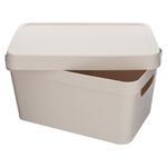 Caja-De-Almacenamiento-Vinto-Con-Tapa-3-6-50341