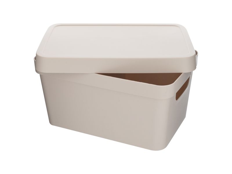 Caja-De-Almacenamiento-Vinto-Con-Tapa-3-6-50341
