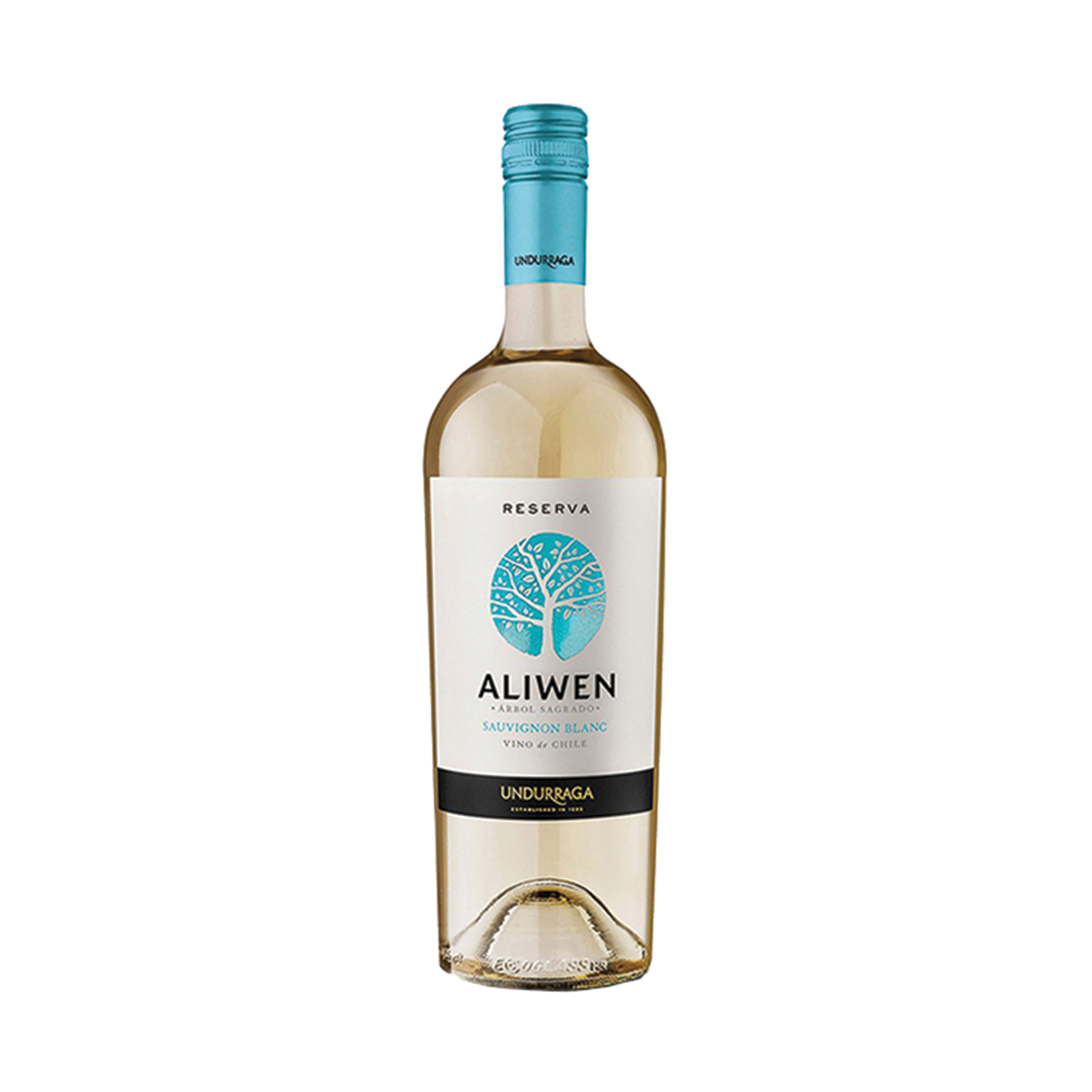 Vino-Aliwen-Sauvignon-Blanco-750ml-1-40635