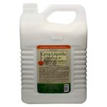 Cera-Lemon-Grass-Liquida-Para-Pisos-3785ml-1-31211