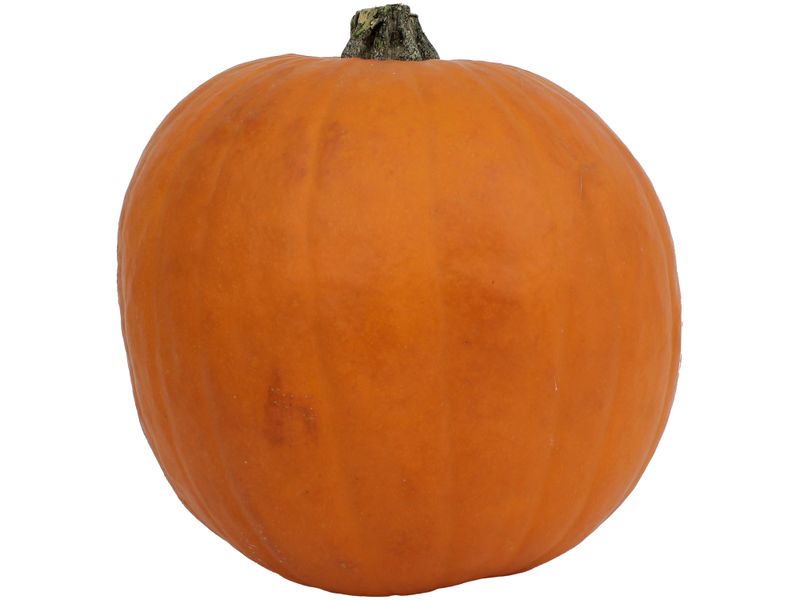 Calabaza-Hortifruti-Importada-Libra-2-53382