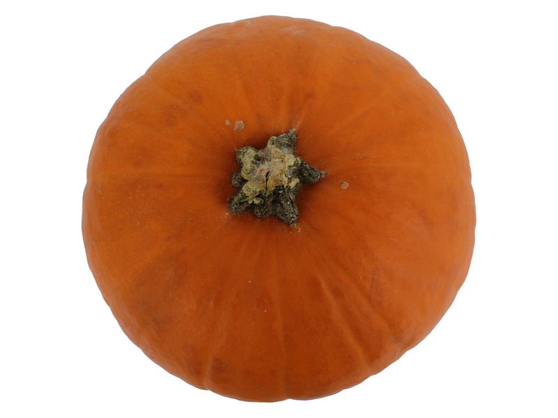 Calabaza-Hortifruti-Importada-Libra-3-53382