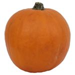 Calabaza-Hortifruti-Importada-Libra-1-53382