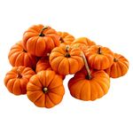 Calabaza-Hortifruti-Orange-Mini-Libra-1-54742