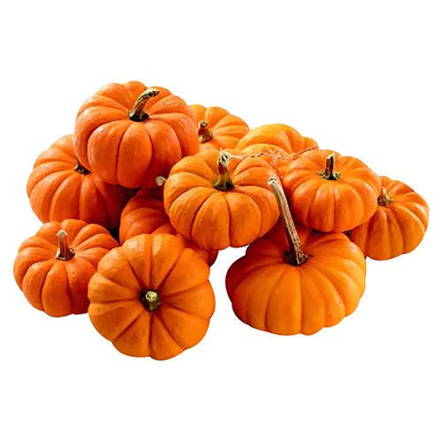 Calabaza Hortifruti Orange Mini Precio Indicado por Libra- 2 unidades por libras aproximadamente