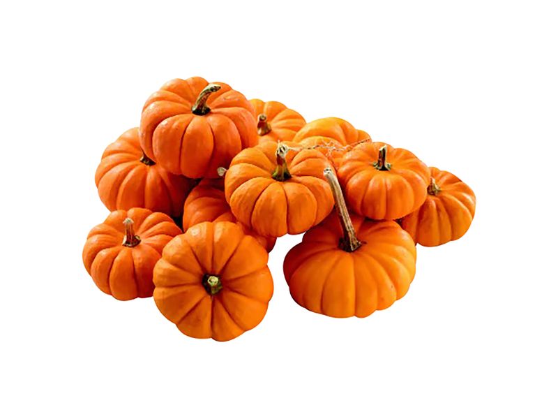 Calabaza-Hortifruti-Orange-Mini-Libra-1-54742