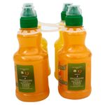 4-Pack-Bebida-Rabinal-Jugo-Loncheri-350ml-2-15108