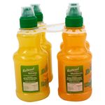 4-Pack-Bebida-Rabinal-Jugo-Loncheri-350ml-3-15108