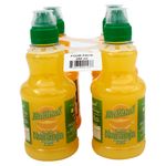 4-Pack-Bebida-Rabinal-Jugo-Loncheri-350ml-4-15108