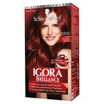 Tinte-Igora-Bril-589I-Rojo-Borgo-123-7Ml-1-39571