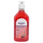 Jab-n-L-quido-Equate-Antibacterial-Cherry-525ml-1-55555