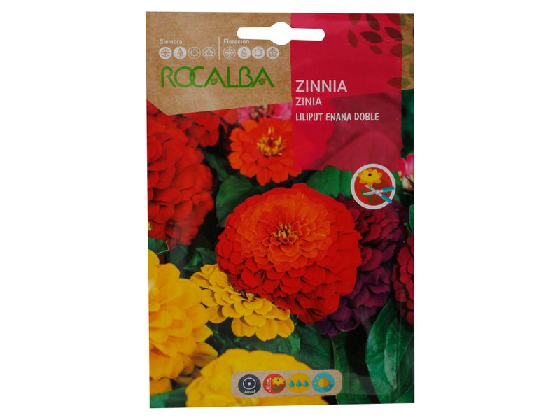 Semilla-Rocalba-Zinia-Enana-1-41843