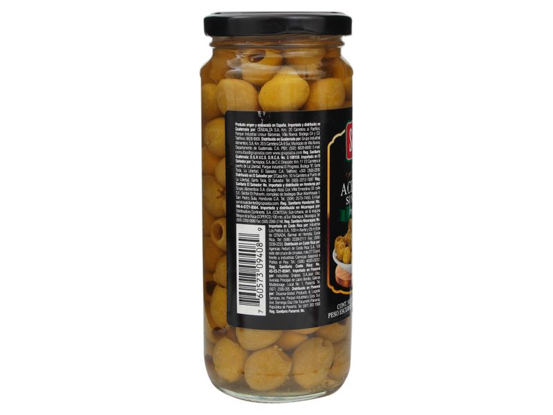 Aceituna-Sin-Hueso-Sasson-330gr-3-49211