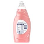 Detergente-L-quido-Lavaplatos-Dawn-Gentle-Clean-Pomegranate-Rose-Water-479ml-2-5165