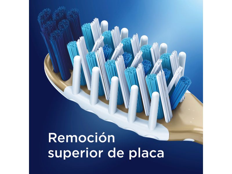 Cepillo-de-Dientes-Limpieza-Efectiva-Oral-B-7-Beneficios-2-Unidades-4-35436