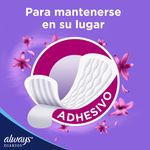 Protectores-Diarios-Femeninos-con-Perfume-Always-80-unidades-3-35463