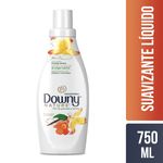 Suavizante-Concentrado-De-Telas-Downy-Granada-y-Vainilla-750ml-1-35306