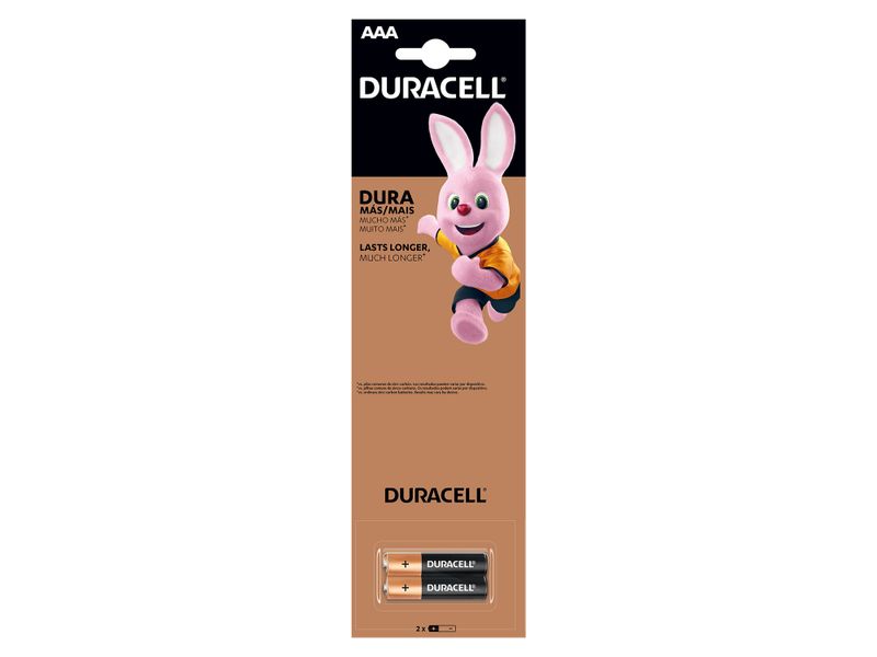 Bateria-Duracell-Alcalina-AAA-6unidades-1-5418