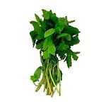 Albahaca-Manojo-Unidad-1-54120