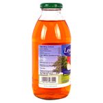 Electrolitos-Alfa-Farmac-utica-Levusol-Frycia-Diabetico-Manzana-475ml-2-29949