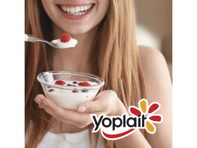 4-Pack-Yogurt-Topping-Yoplait-508gr-2-50372