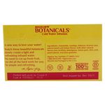 Infusion-En-Agua-Fria-Peach-Lemonade-3-58136