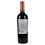 Vino-Do-a-Paula-Tinto-Malbec-750ml-2-40480