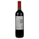 Vino-Norton-Tinto-Malbec-750ml-2-45432