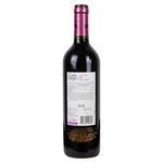 Vino-Gato-Negro-Tinto-Carmenere-750Ml-2-40618