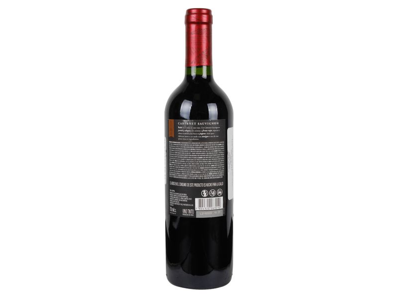 Vino-Vi-a-Maipo-Cabernet-Sauvignon-750ml-2-40644