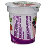 Yogurt-Artesano-Berries-125gr-2-58186