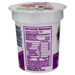 Yogurt-Artesano-Berries-125gr-4-58186