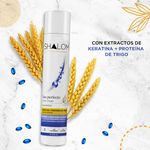 Shampoo-Shalom-Keratina-Y-Trigo-360Ml-3-31292