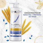 Shampoo-Shalom-Liso-Perfecto-960ml-3-55481