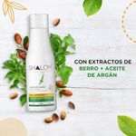 Shampoo-Shalom-Berro-Y-Argan-735ml-3-31299