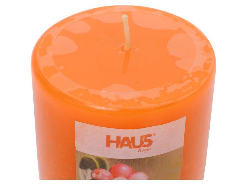 Vela-Haus-Tipo-Pilar-Aroma-Cranberry-4-17658