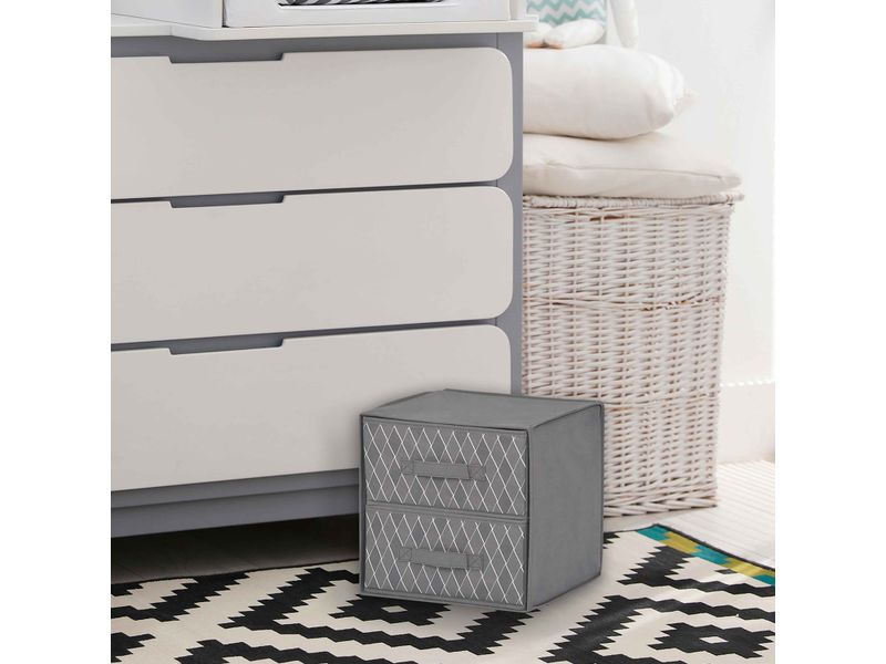 Cubo-Mainstays-Organizador-2-Gavetas-3-57250