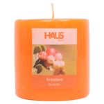 Vela-Haus-Tipo-Pilar-Aroma-Cranberry-1-17658