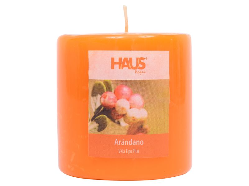 Vela-Haus-Tipo-Pilar-Aroma-Cranberry-1-17658