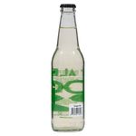 Bebida-Reformador-Artesanal-Ginger-Ale-355ml-2-56021