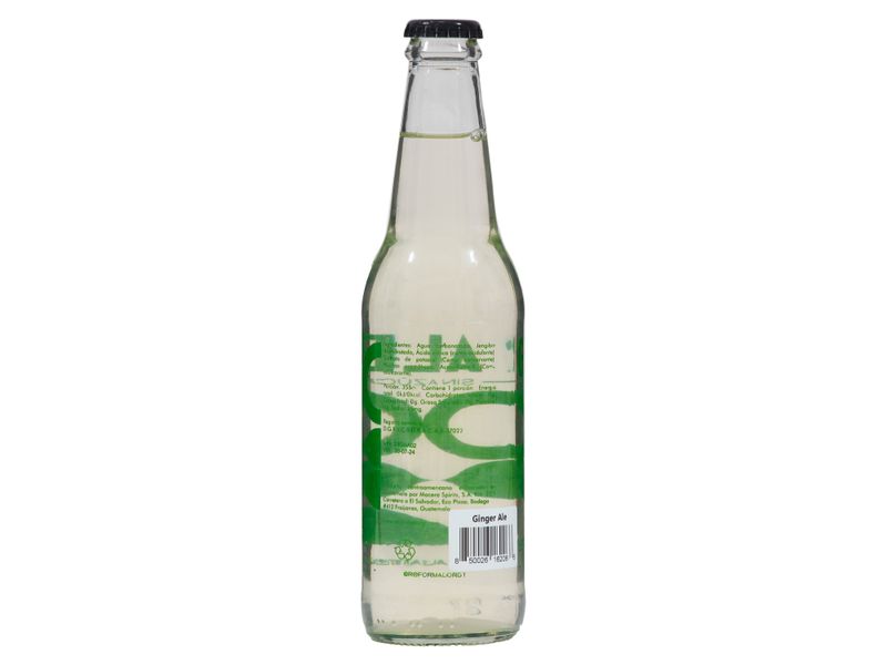 Bebida-Reformador-Artesanal-Ginger-Ale-355ml-2-56021