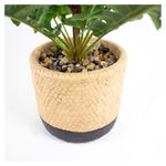 Planta-Mainstays-Artificial-Hoja-Roble-Maceta-3-55382